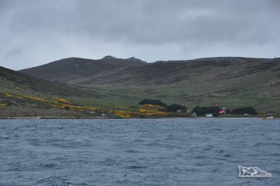 A fazenda de Rob e Lorraine McGill em Carcass Island, no noroeste das Ilhas Malvinas